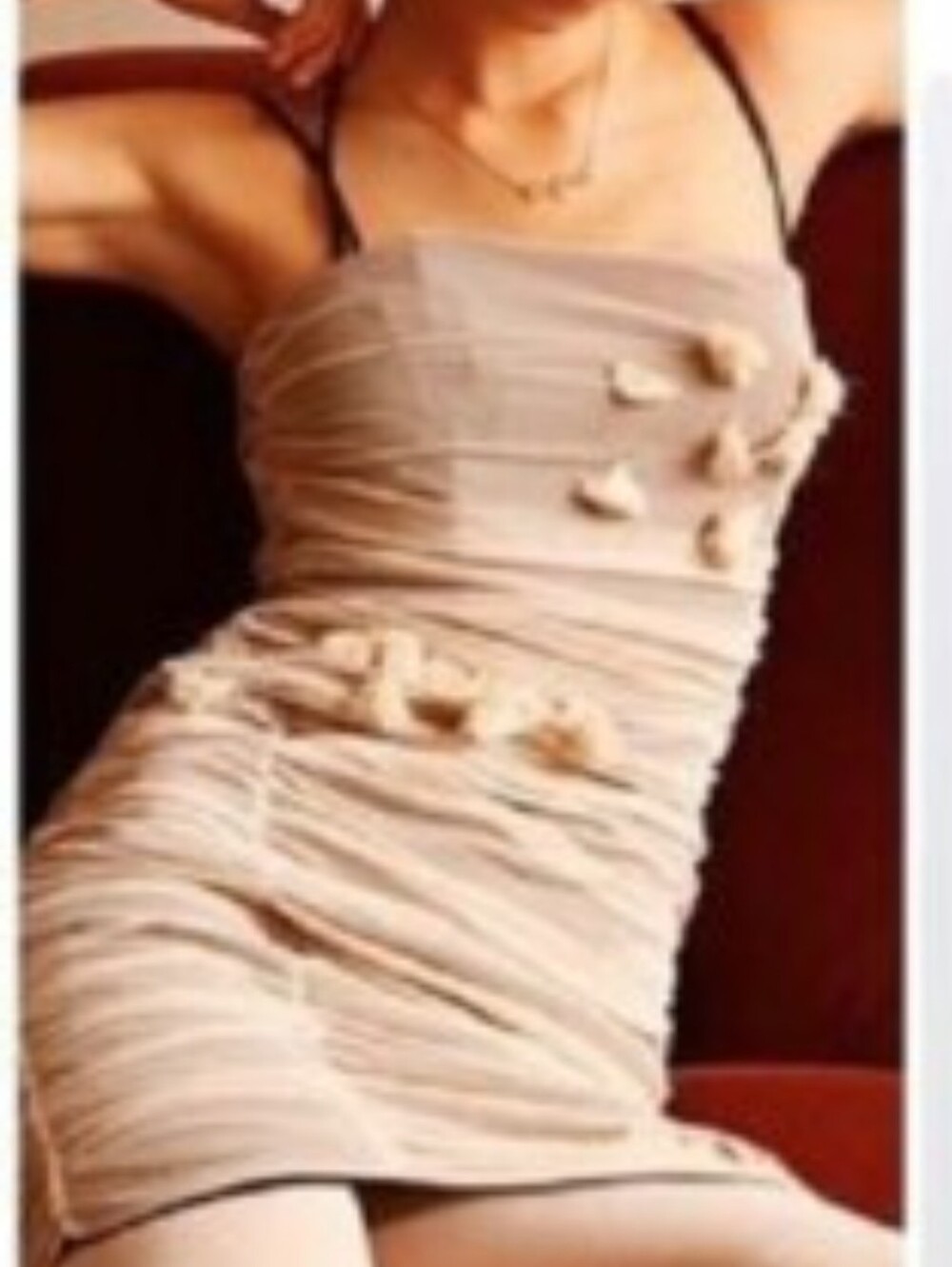 Zara NWT Bloggers Favorite Tulle Mini Dress In Beige Size XS